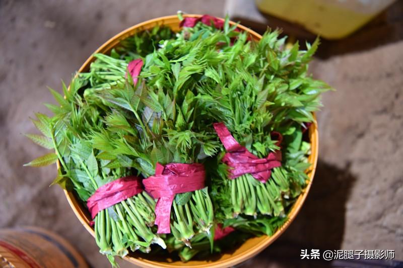 山西農(nóng)民大棚里種香椿，9分地種植70000苗，28元1斤，收入保密