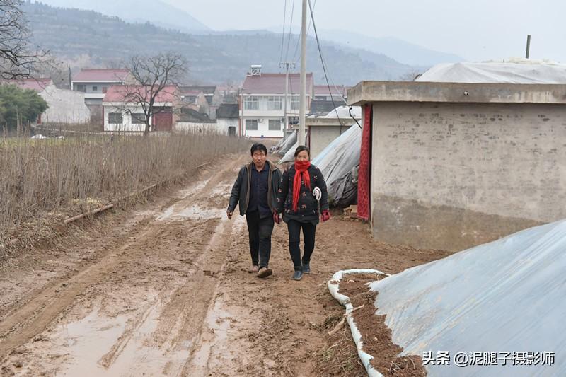 山西農(nóng)民大棚里種香椿，9分地種植70000苗，28元1斤，收入保密