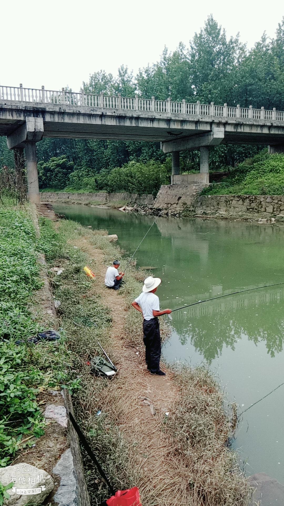 湖北宜都枝城赤溪河，長在河邊的抗癌藥草