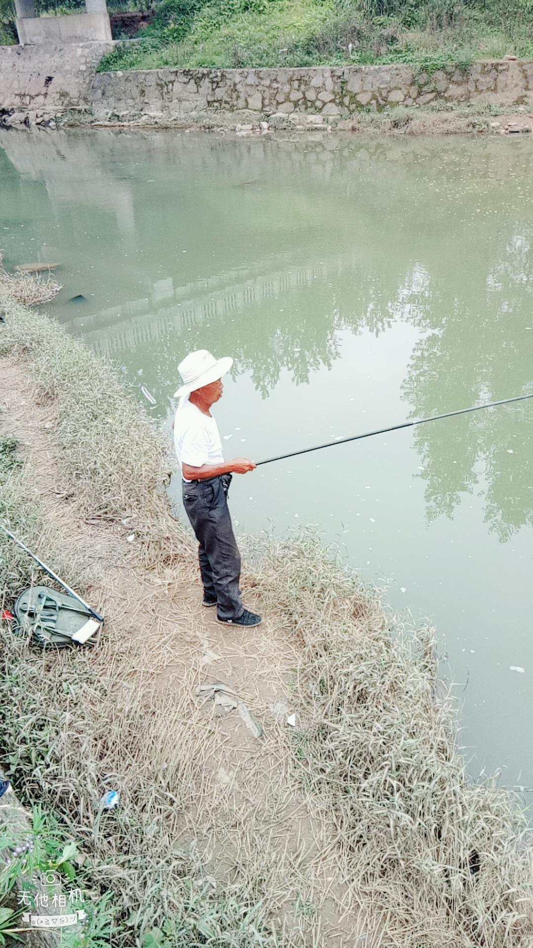 湖北宜都枝城赤溪河，長在河邊的抗癌藥草