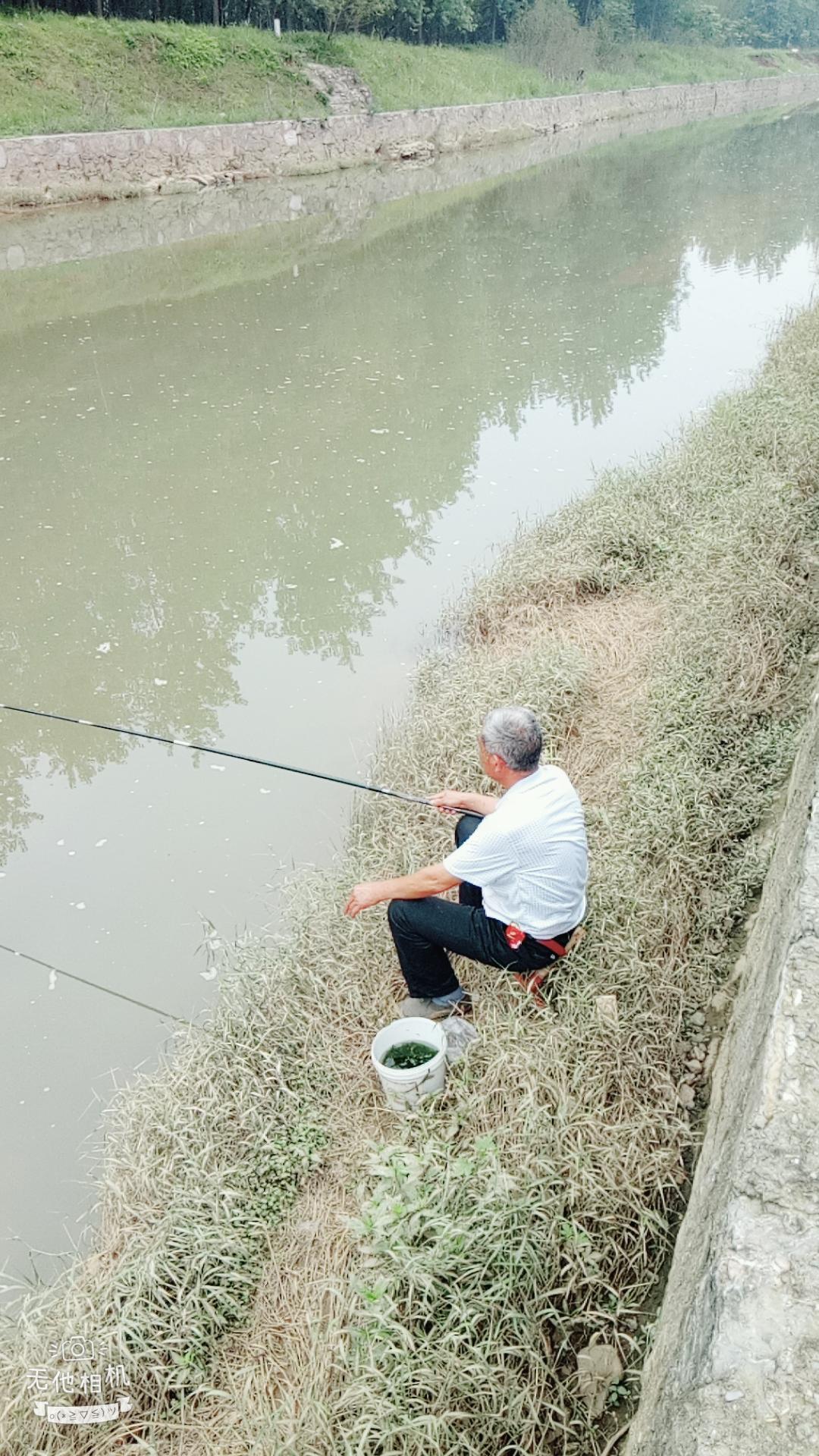 湖北宜都枝城赤溪河，長在河邊的抗癌藥草