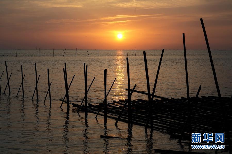 骨肉天親同枝連——兩岸“東石”同名村探“緣”