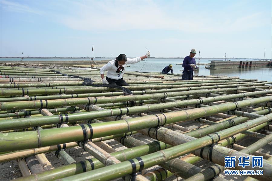 骨肉天親同枝連——兩岸“東石”同名村探“緣”