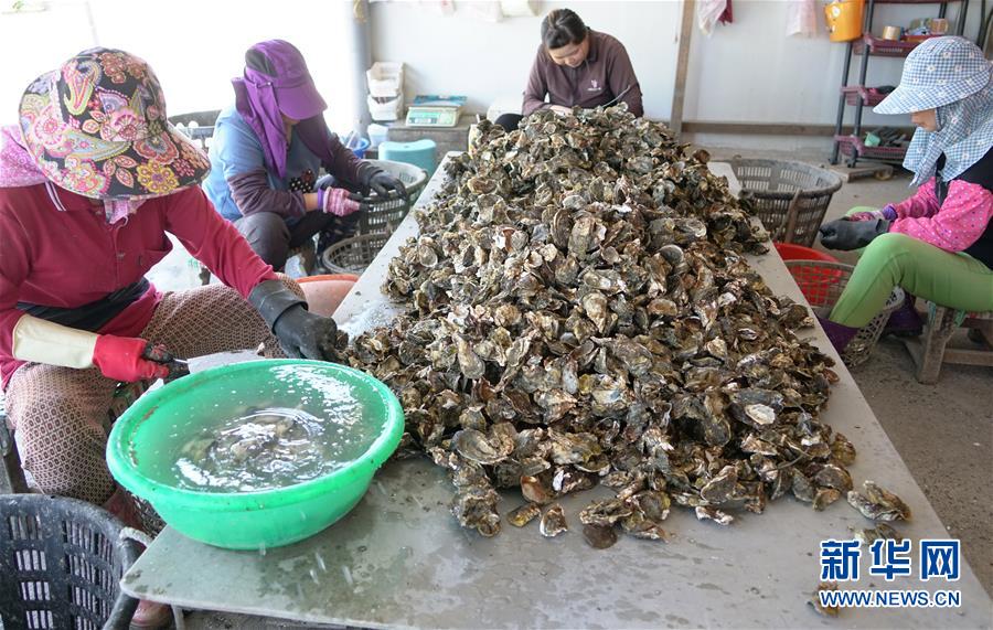 骨肉天親同枝連——兩岸“東石”同名村探“緣”