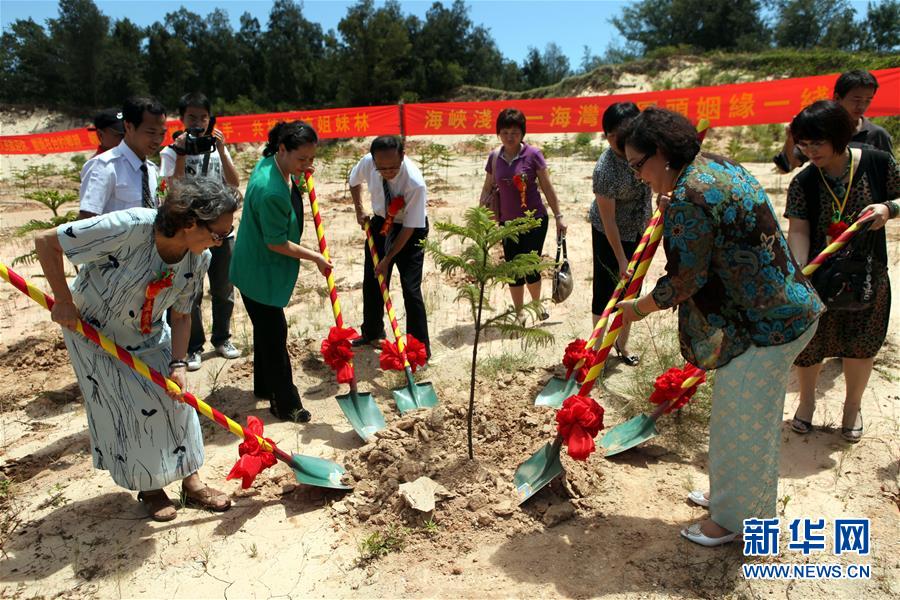 骨肉天親同枝連——兩岸“東石”同名村探“緣”